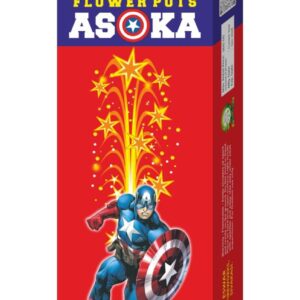 Flower Pots Asoka