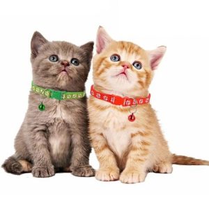 heart bling cat collar with safety belt (pink)