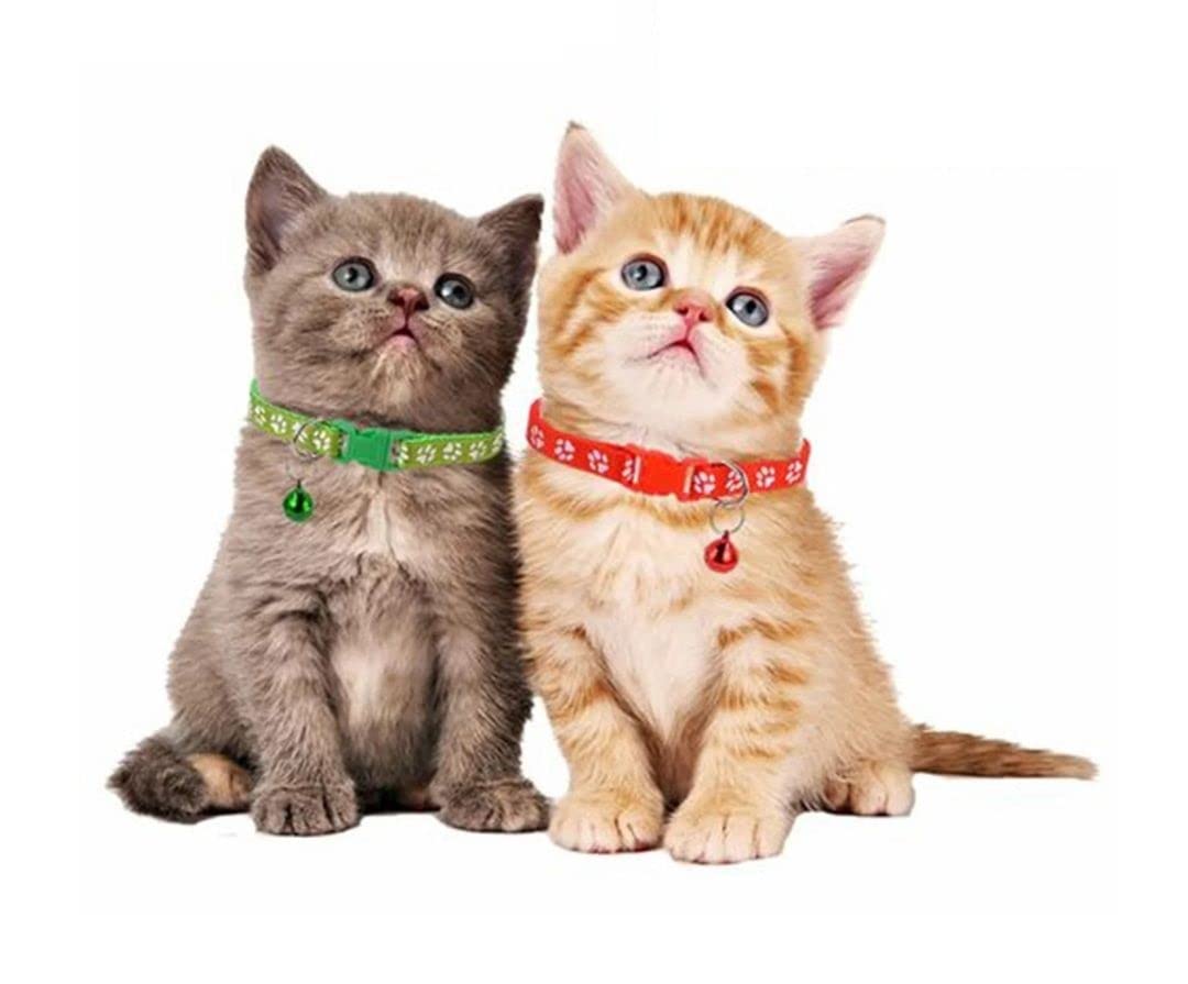 heart bling cat collar with safety belt (pink) heart bling cat collar with safety belt (pink)